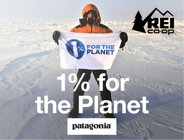 Patagonia at REI