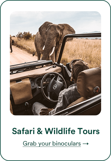 Safari & Wildlife Tours
