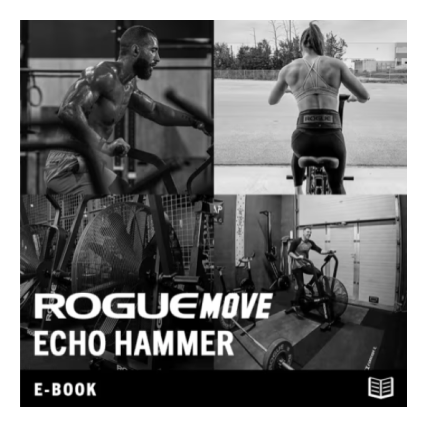 Rogue Move - Echo Hammer (eBook)