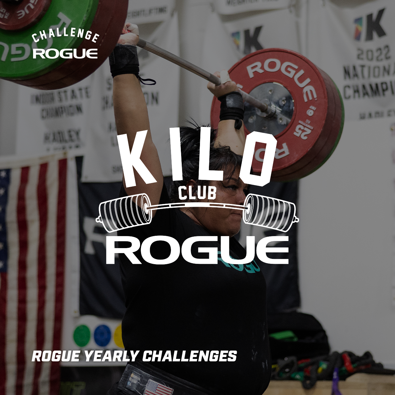 Rogue Yearly Challenges