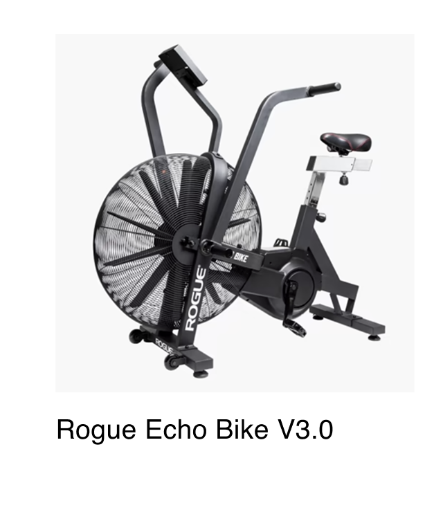 Echo Bike
