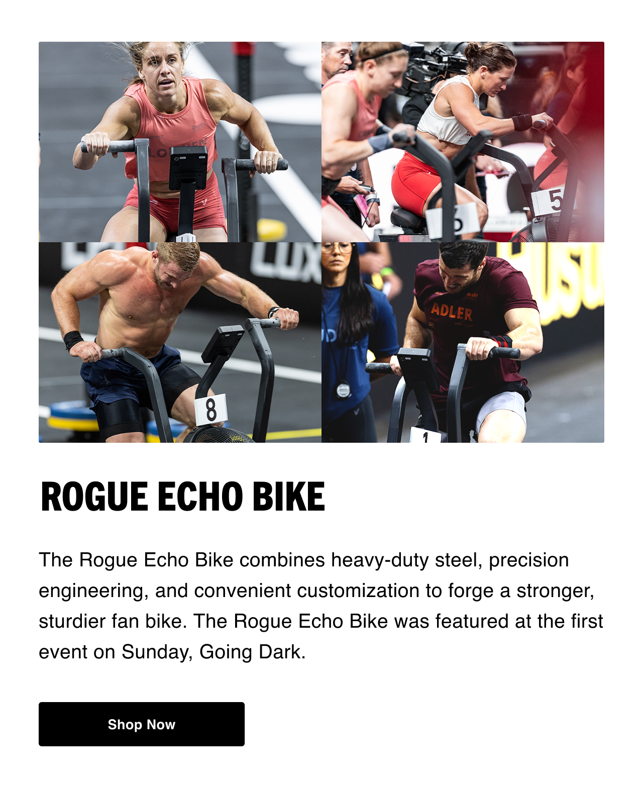 Rogue Echo Bike V3.0 - Shop Now