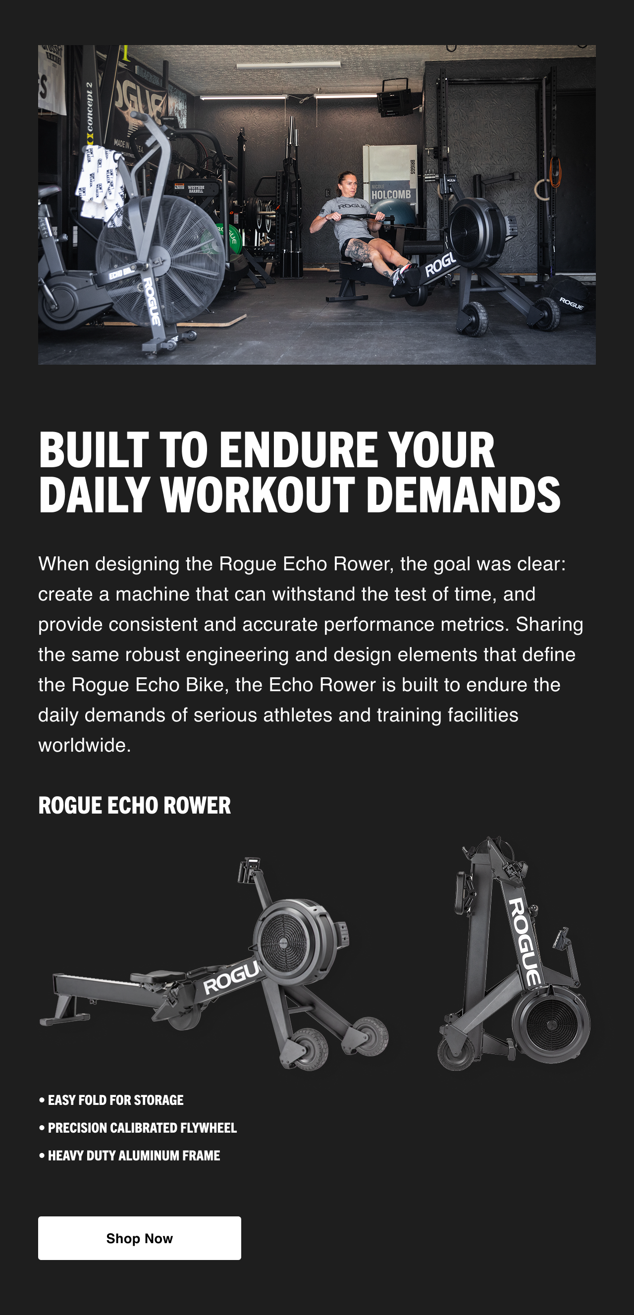 Rogue Echo Rower