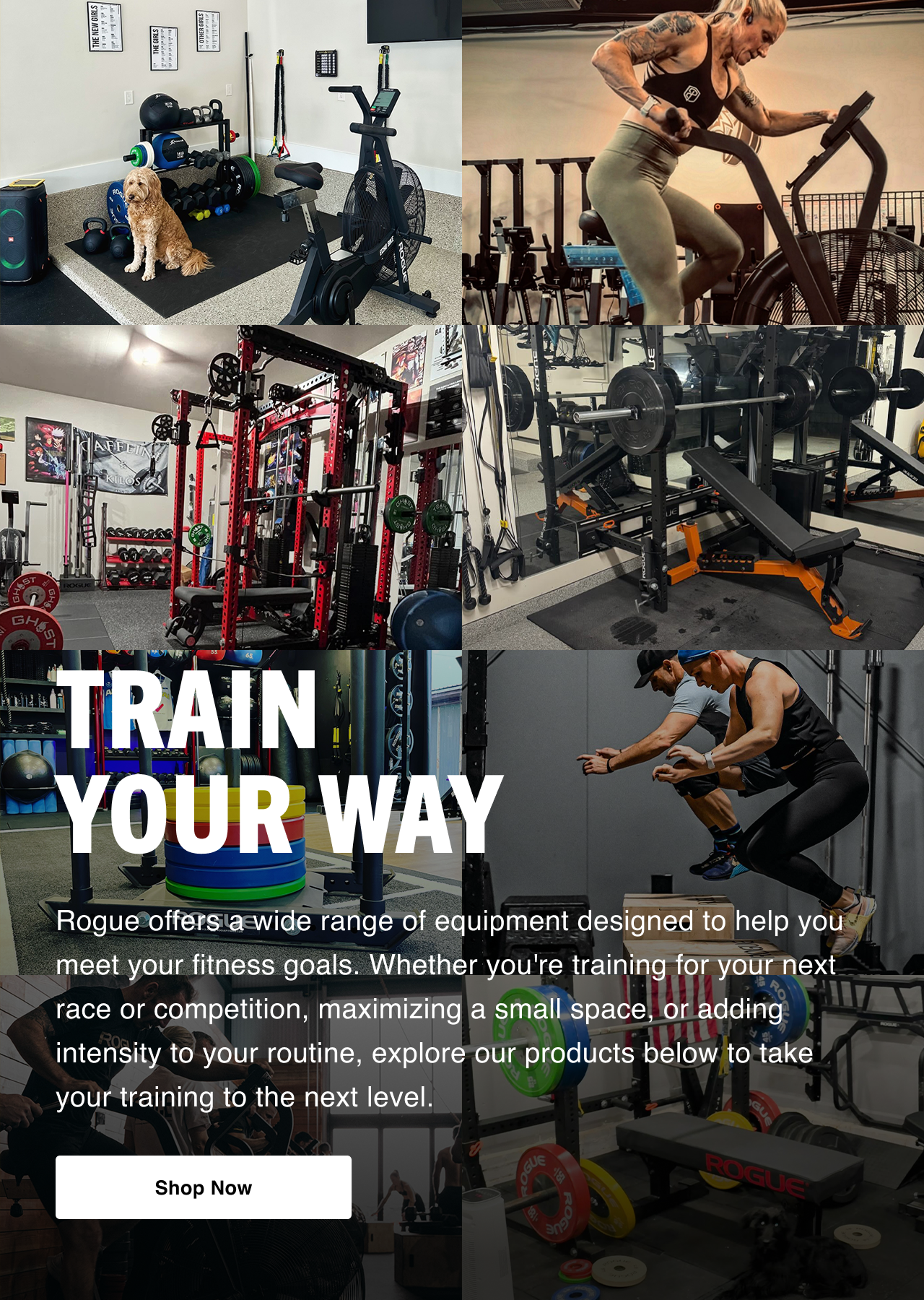 Train Your Way - Shop Now