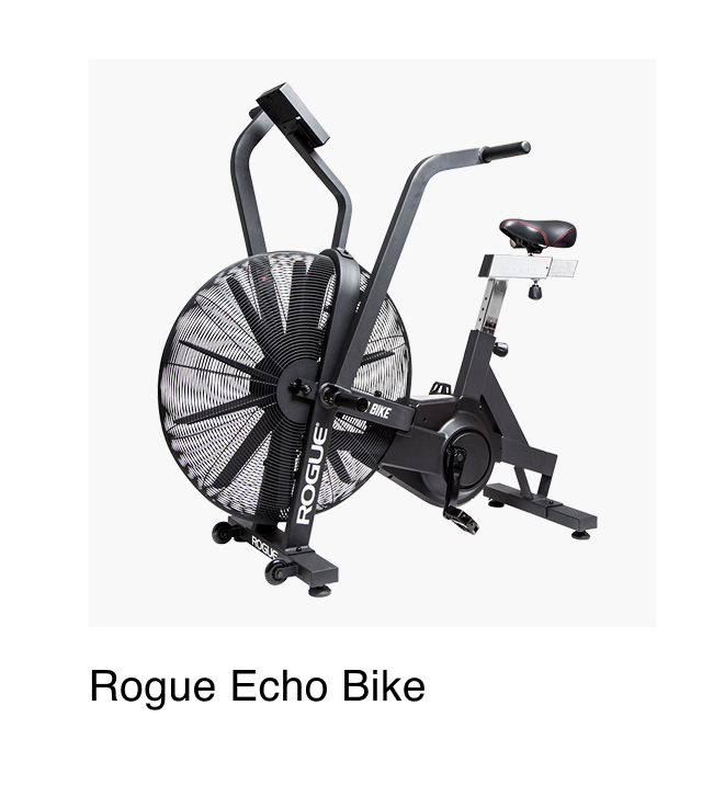 Rogue Echo Bike V3.0