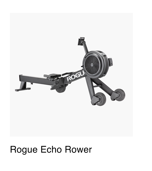 Rogue Echo Rower