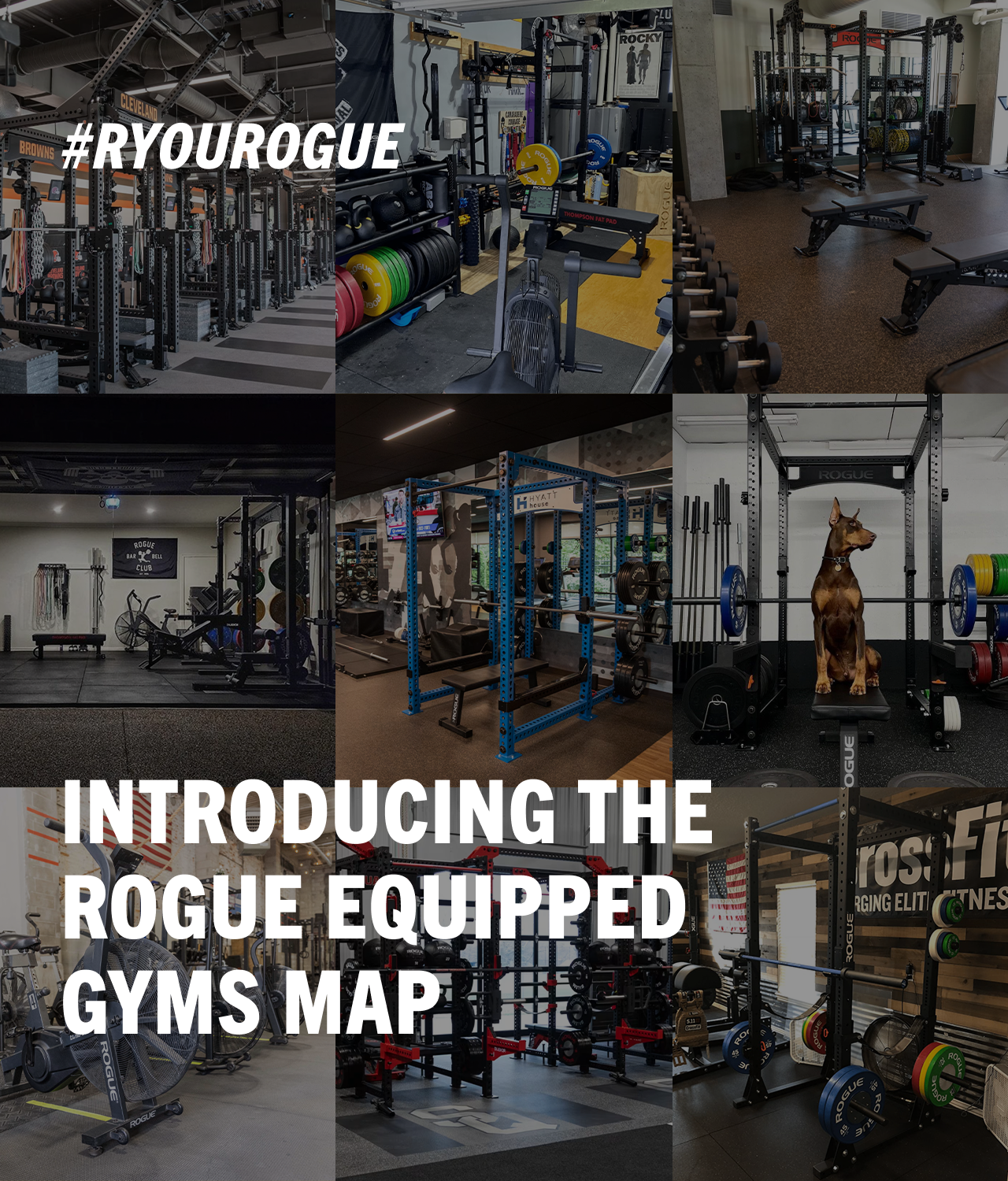 Introducing The Rogue Equipped Gyms Map