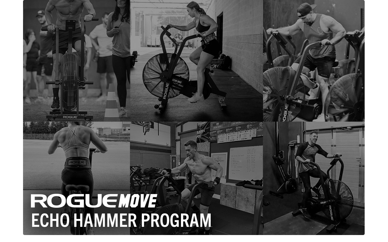 Rogue Move - Echo Hammer (eBook)