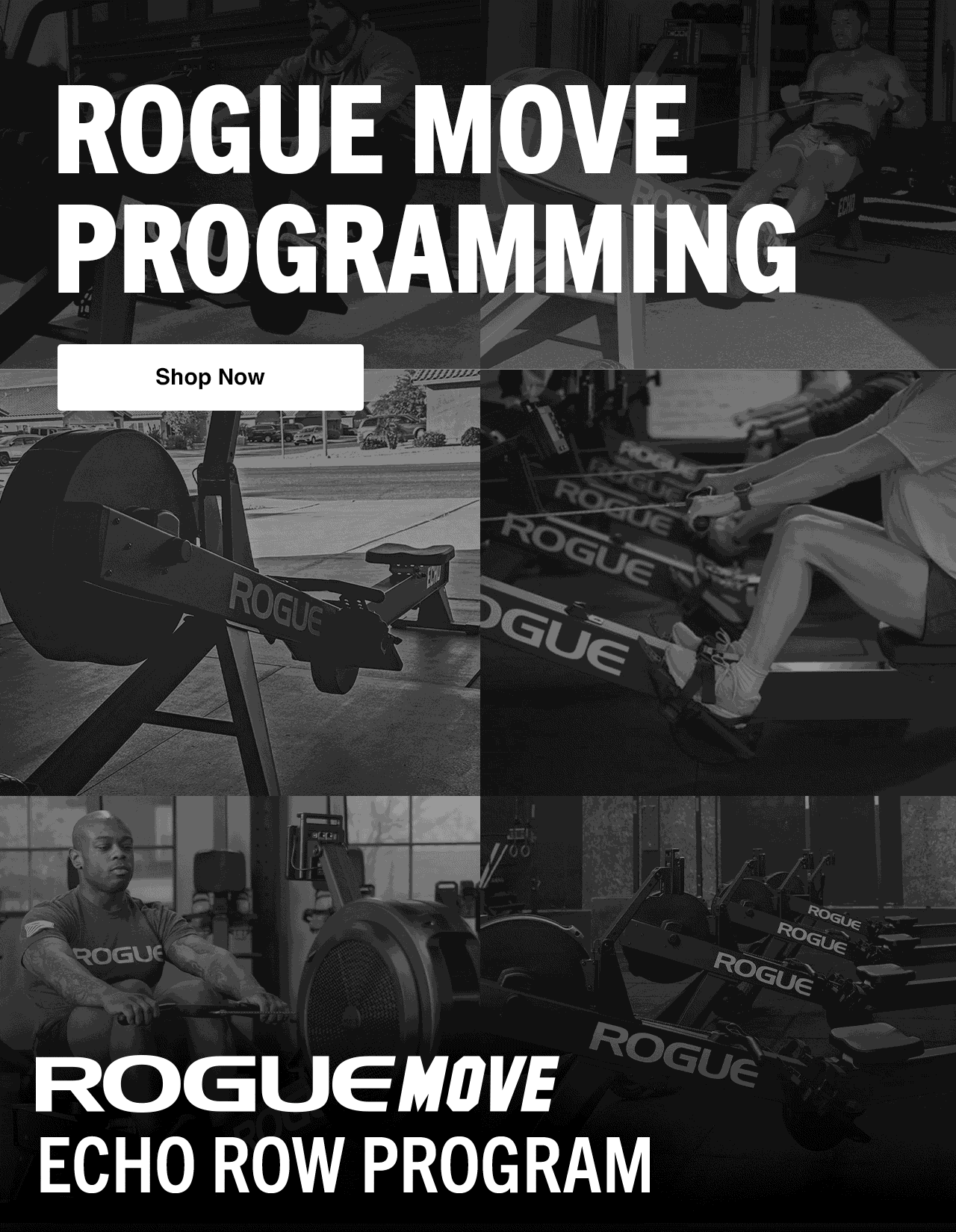 Rogue Move Programming - Shop Now