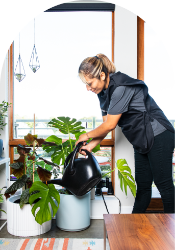 housekeeping and chores