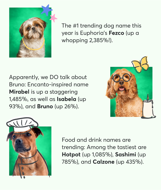 Did your dog make 2022's list of top dog names? Rover