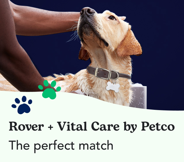 Save 20 on services with Rover + Vital Care by Petco Rover
