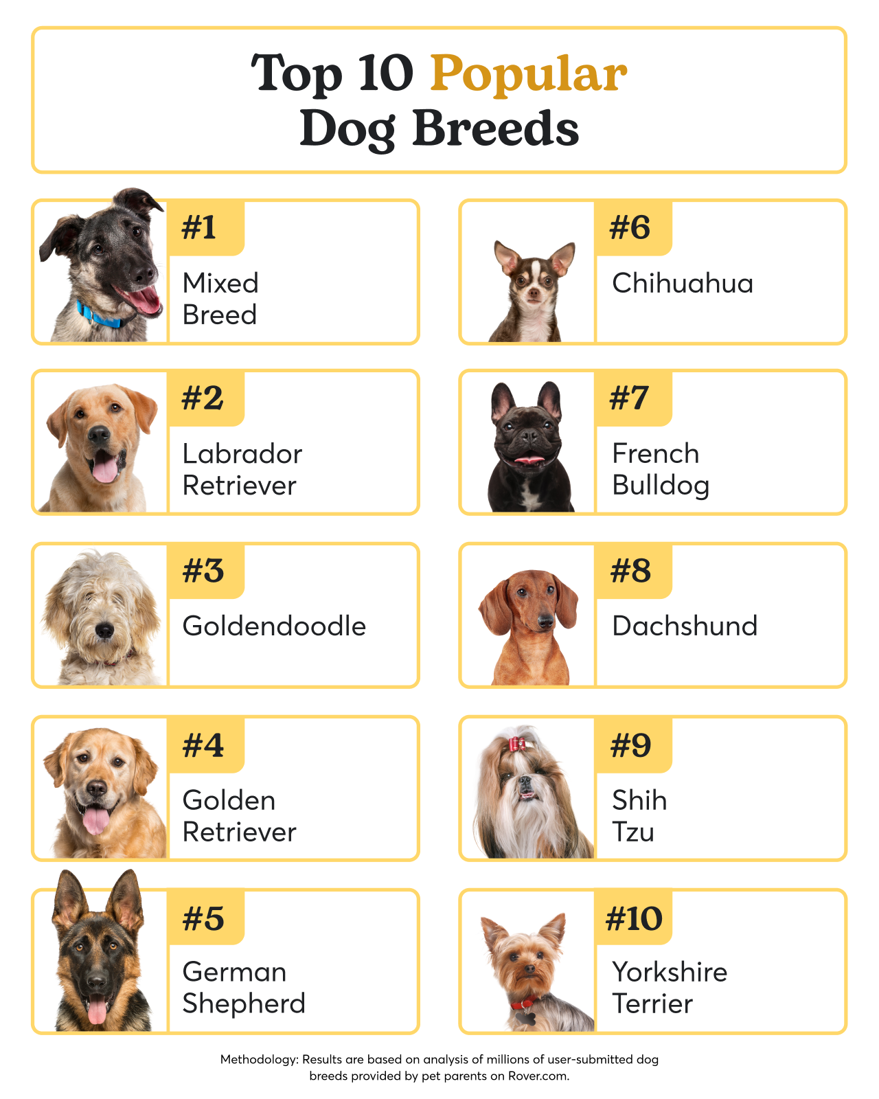 Top 10 Well Known Dog Breeds Hot List Of Popular Dog Breeds Top Sellers, image size:1280x1600