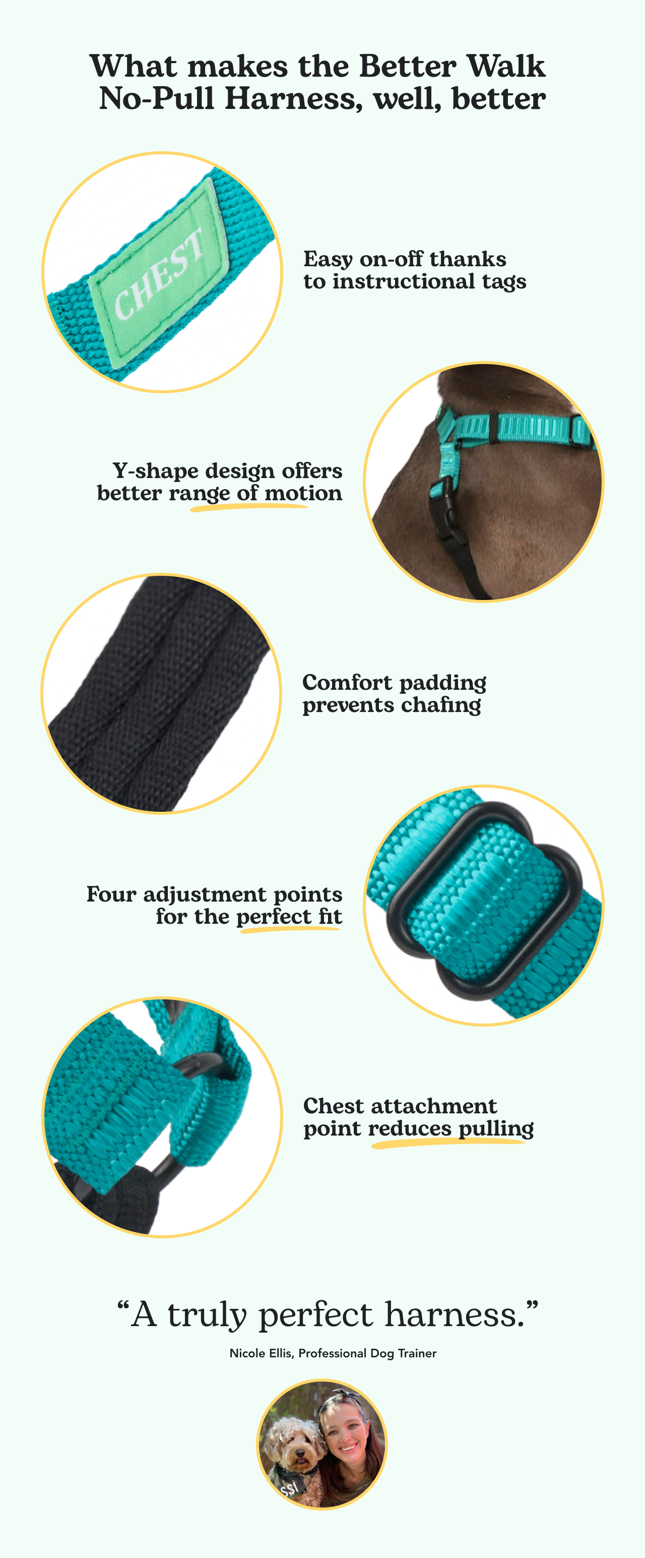 Introducing the Better Walk NoPull Dog Harness designed by Rover Rover