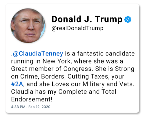 Claudia Tenney Endorsement