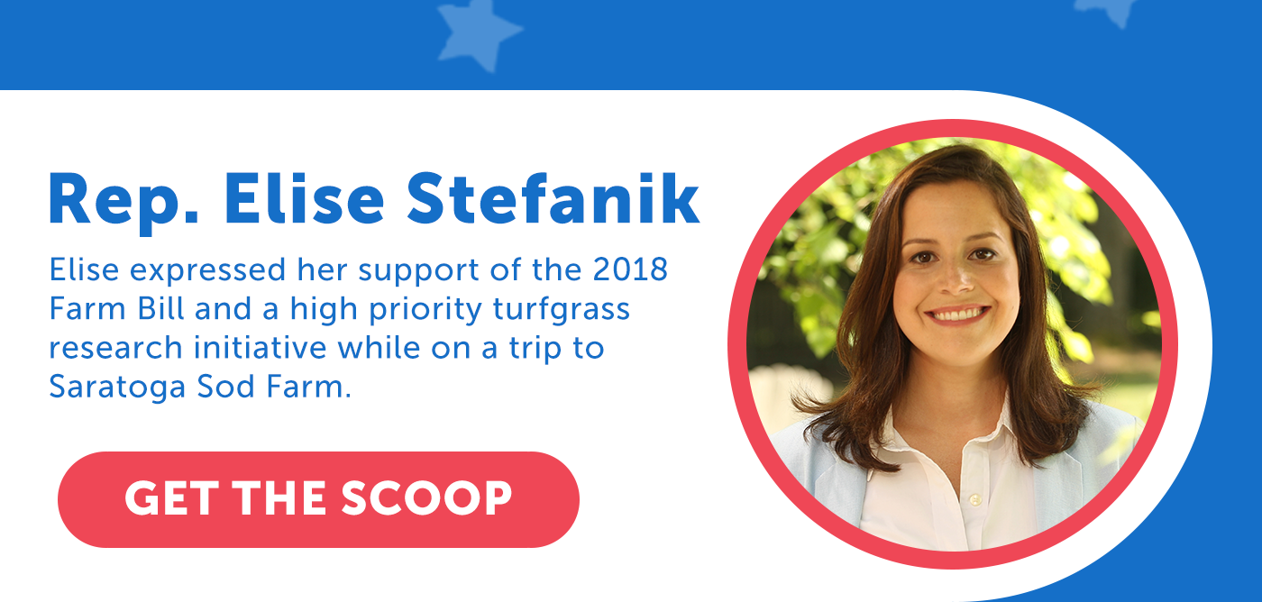 Rep. Elise Stefanik