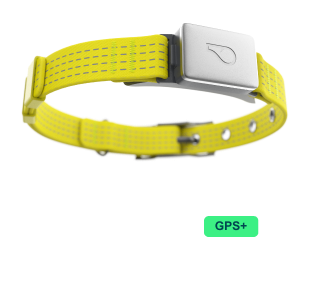 whistle health & gps+