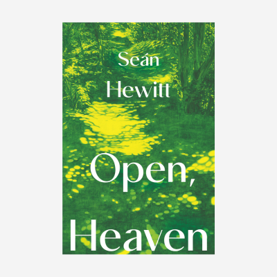 Open, Heaven book cover image