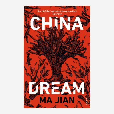 China Dream book image