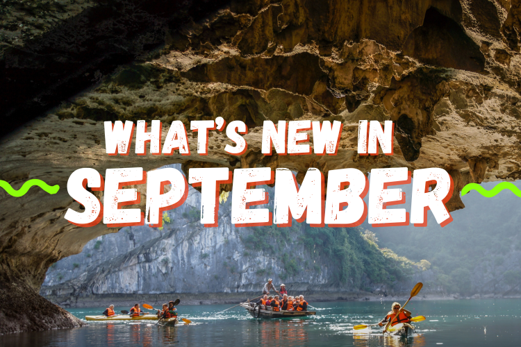 New and trending in September