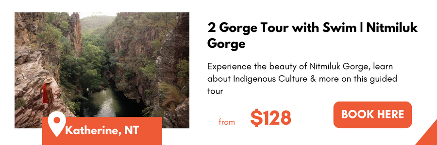 2 Gorge Tour with Swim | Nitmiluk Gorge