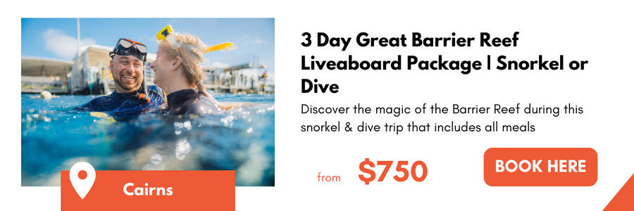 3 Day Great Barrier Reef Liveaboard Package | Snorkel or Dive