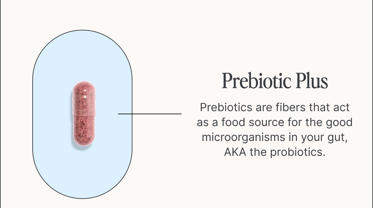 Prebiotic Plus 