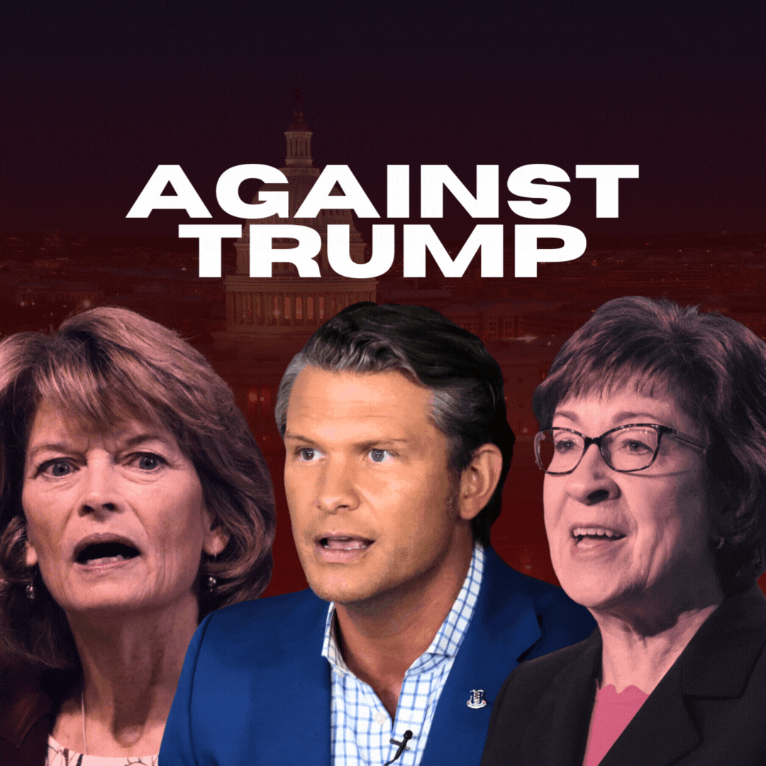 VBD Dems Attack Day 1