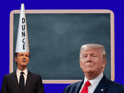 VBD Voter Verification