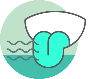 quiptip