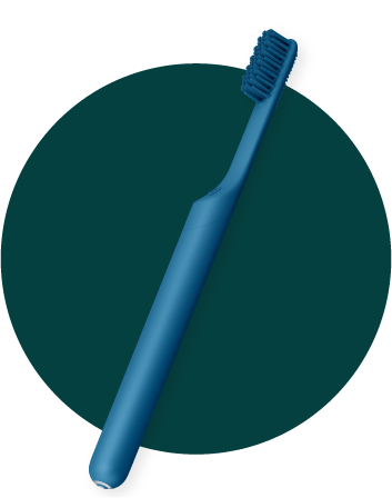 Shop Smart Brush