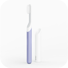 Shop Lavender Brush