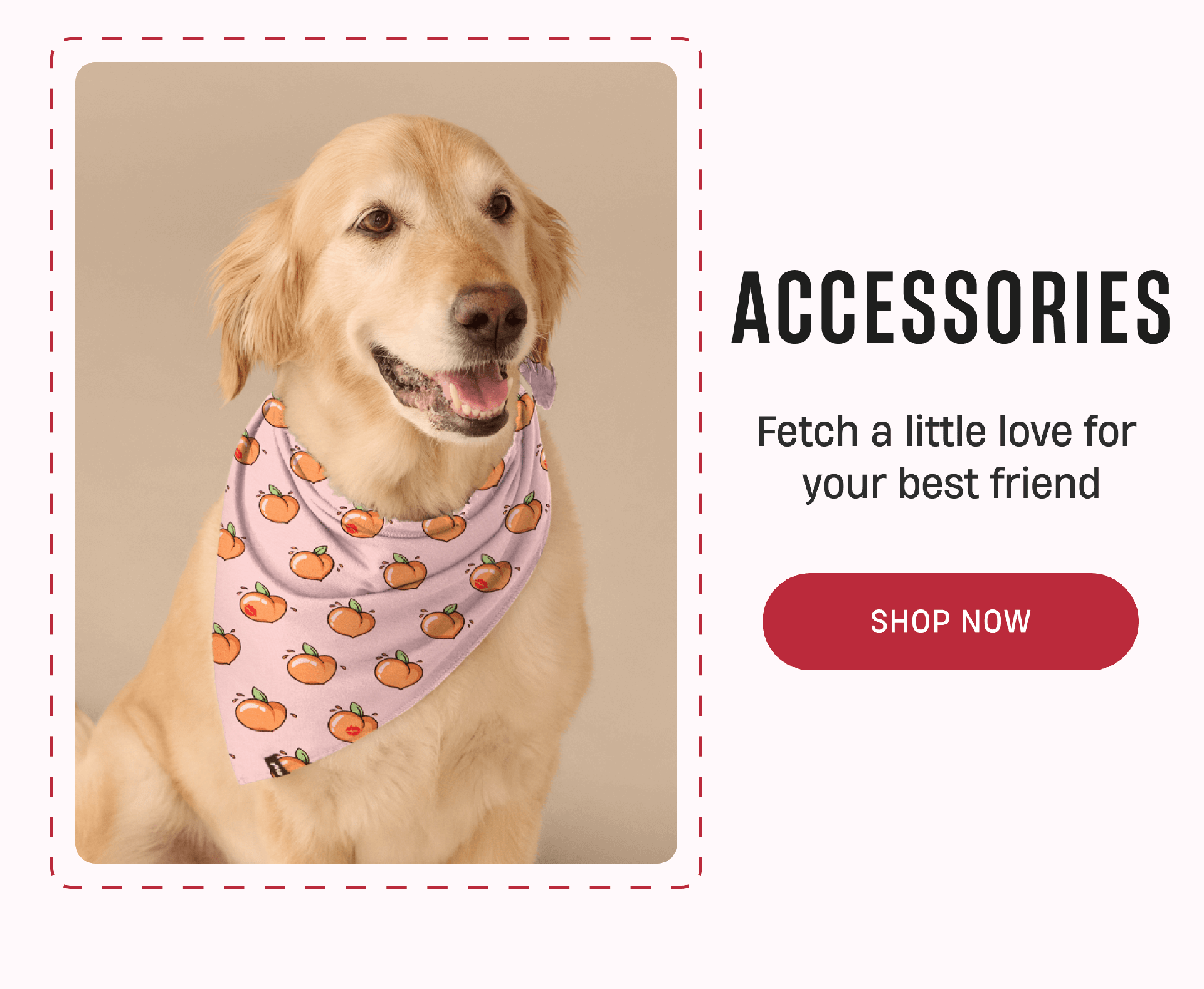 Accessories | Fetch a little love for your best friend | Shop Now