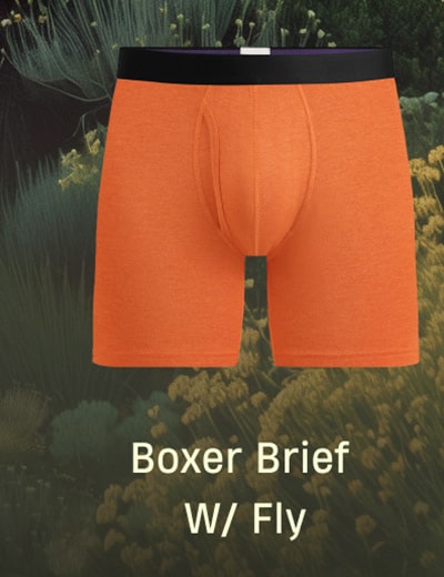 Boxer Brief W/ Fly