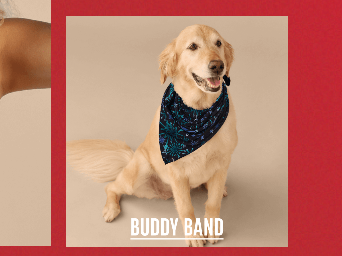 Buddy Band