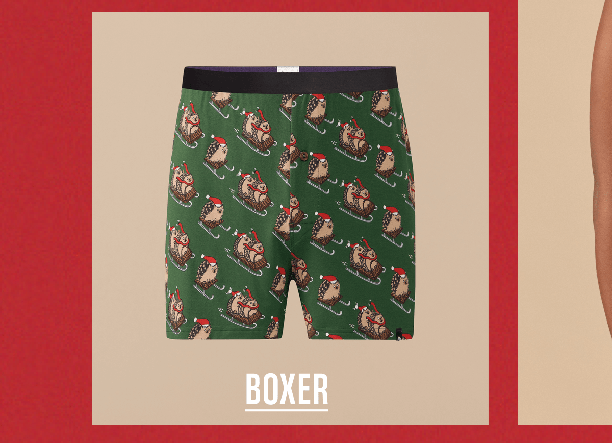 Boxer