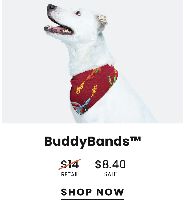 BuddyBands