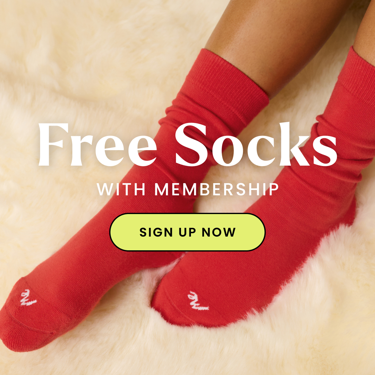 Headline: Free Socks With Membership