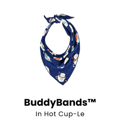 BuddyBands