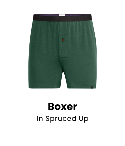 Boxer