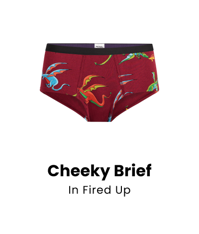 Cheeky Brief