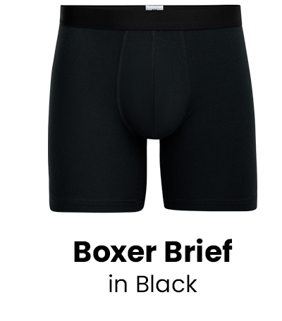 Boxer Brief