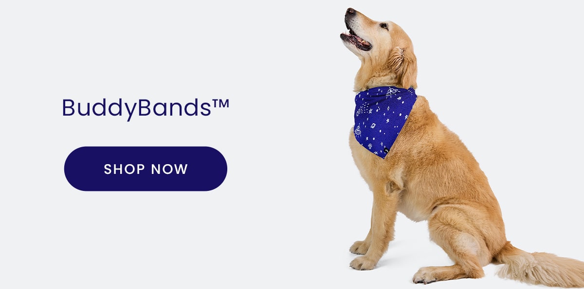 BuddyBandsTM | Shop Now