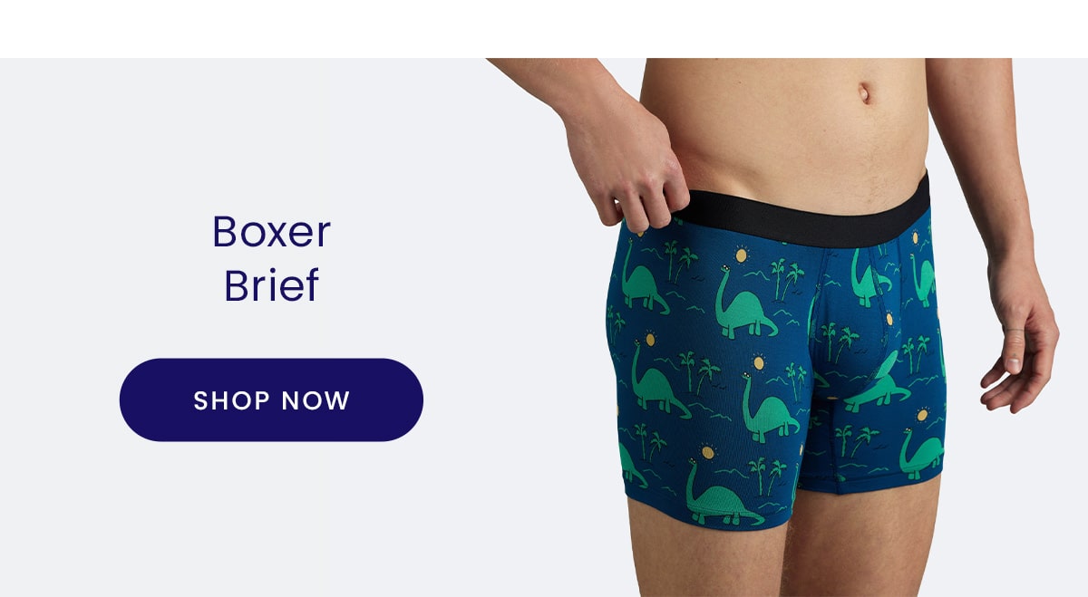 Boxer Brief | Shop Now