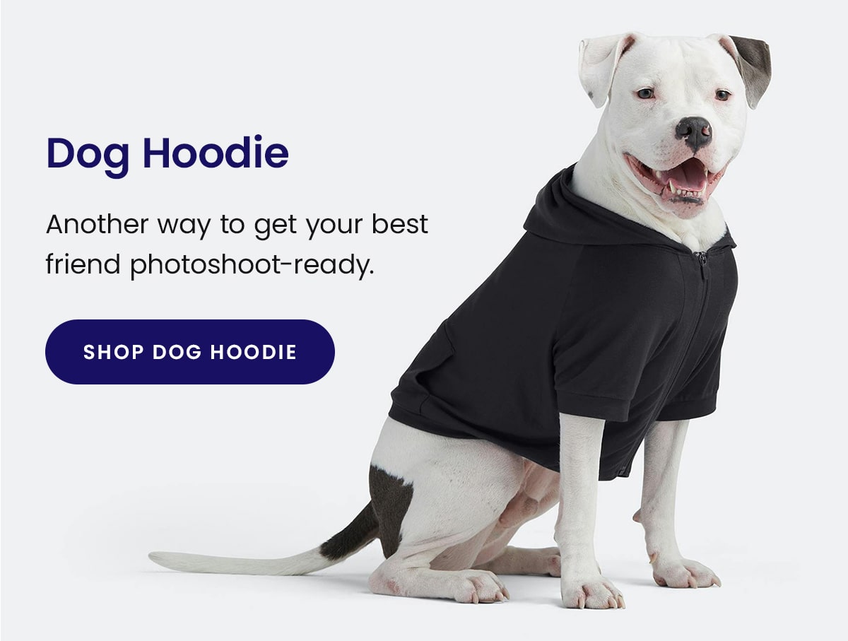 Dog Hoodie | Another way to get your best friend photoshoot-ready. | Shop Dog Hoodie