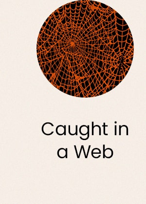 Caught in Web