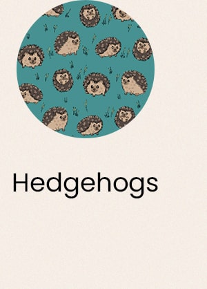 Hedgehogs