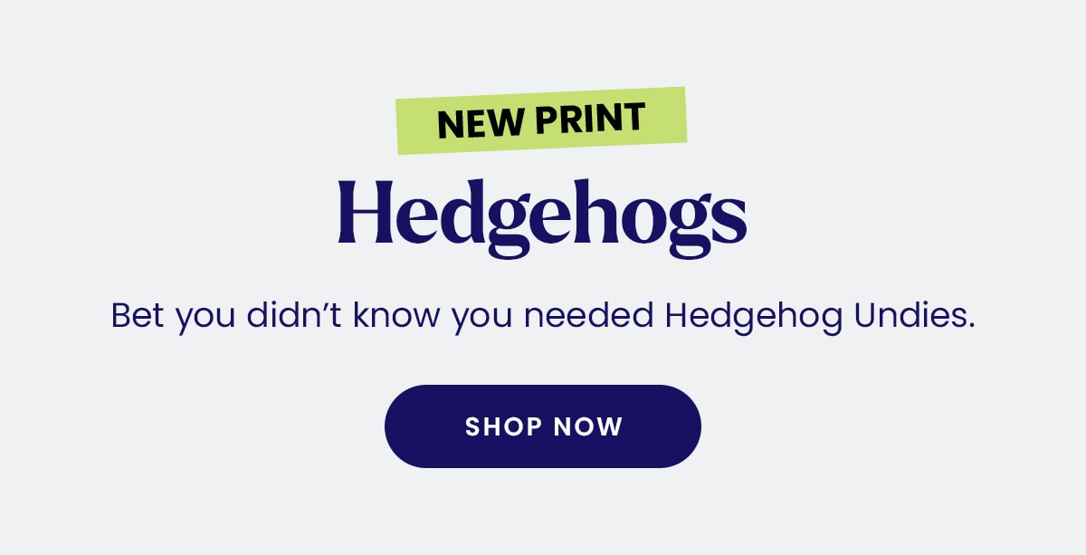 New Print | Hedgehogs | Bet you didn't know you needed hedgehog Undies. | Shop Now