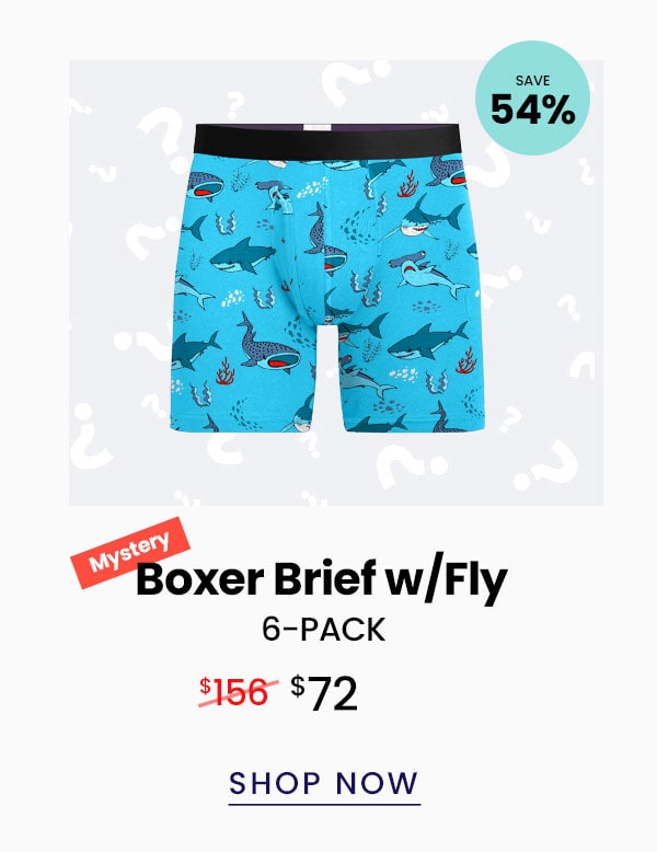 Mystery Boxer Brief w/Fly 6 -Pack | $72 | Shop Now