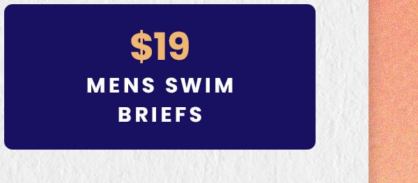 $19 Mens Swim Briefs